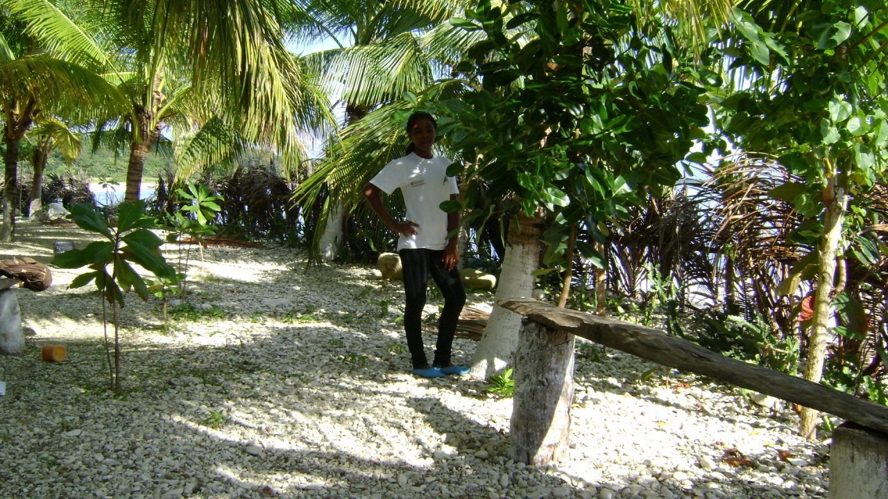 DSC03663