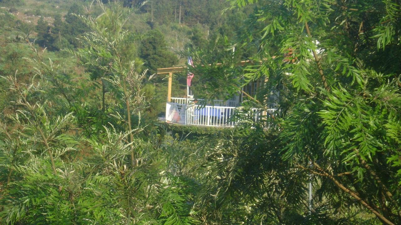DSC06446