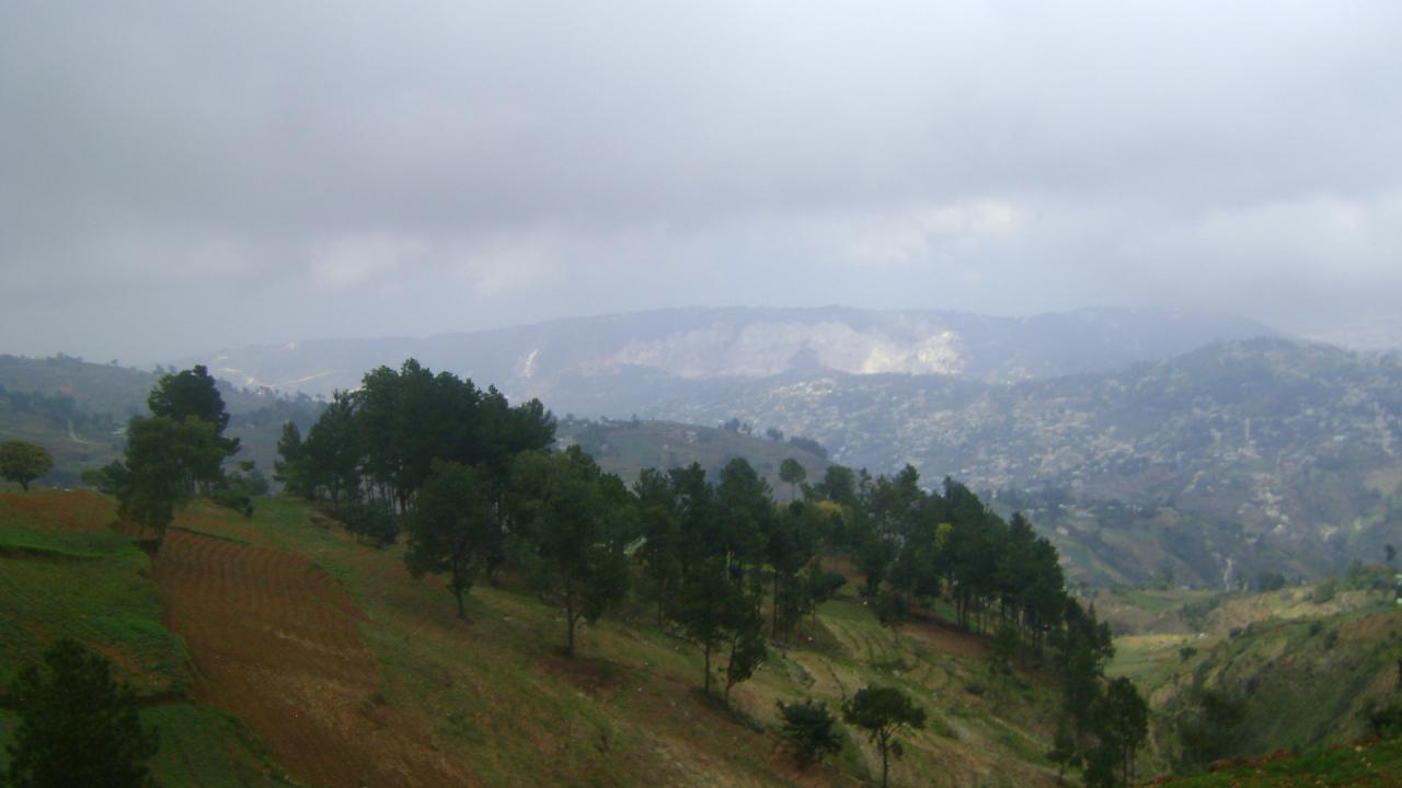 DSC06735